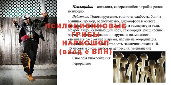 бутират Инта