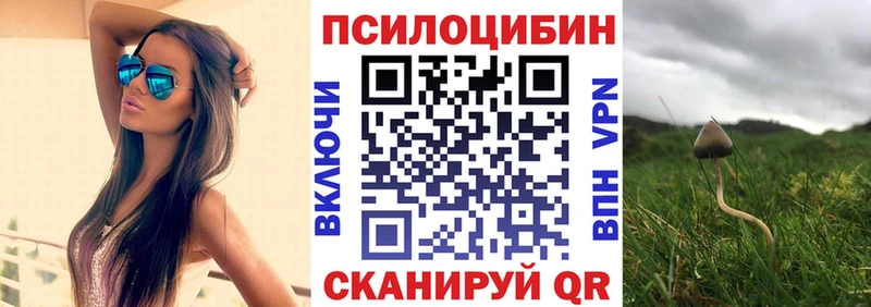 Галлюциногенные грибы Psilocybe Арсеньев